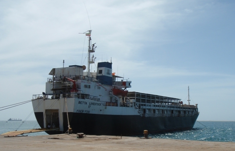 MV Capt. Salim - White livestock vessel docked at port, name visible on hull